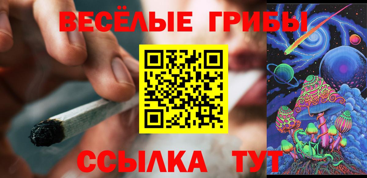 Павлово  купить   Вход с VPN  Псилоцибиновые грибы мухоморы 